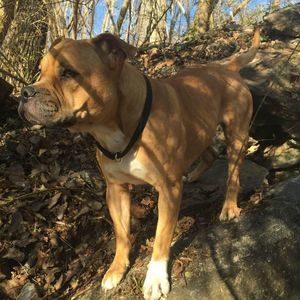 Meet your Posher, Drayton